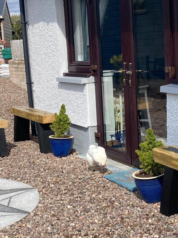 Apartment The Hive At Seonaidbheag *